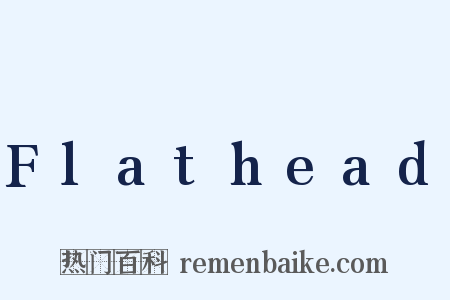 Flathead是什么意思的图片